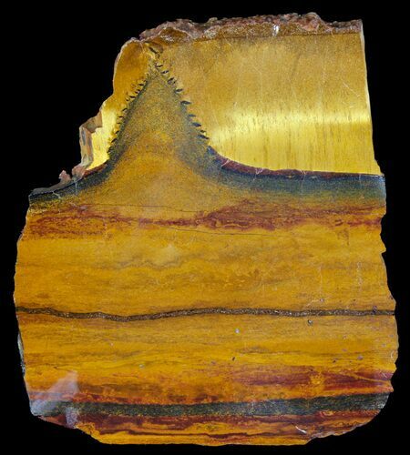 Marra Mamba Stromatolite - Mt Brockman ( Billion Years) #39198